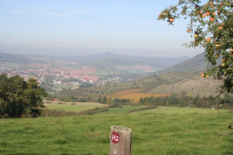 Habichtswaldsteig-Blick-auf-Zierenberg.jpg